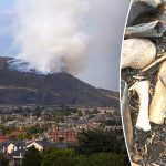 [aggregator] downloaded image for imported item #5555