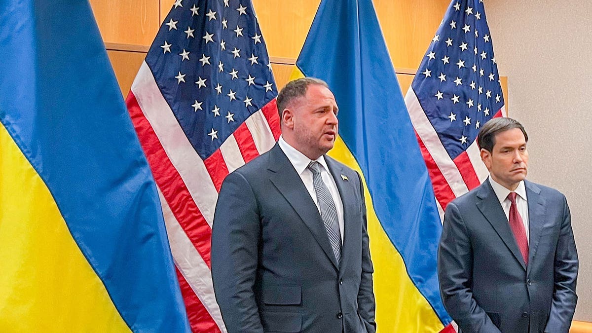 [aggregator] downloaded image for imported item #3009